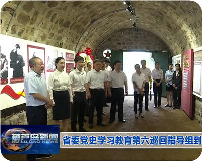 省委党史学习教育第六巡回指导组到葫芦古镇调研指导​